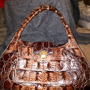 Brahmin purse